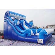 cheap inflatable dolphin water slides